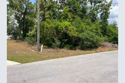 Tbd SE 98th Court, Summerfield, FL 34491 - Photo 5