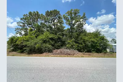 Tbd SE 98th Court, Summerfield, FL 34491 - Photo 1