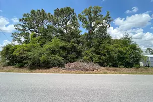 Tbd SE 98th Ct, Summerfield, FL 34491 - Photo 1