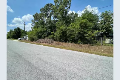 Tbd SE 98th Court, Summerfield, FL 34491 - Photo 3