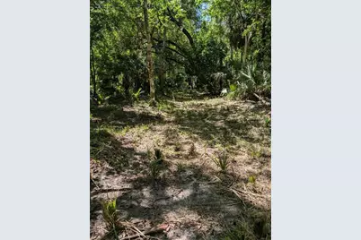 0 NW 202nd Place, Mc Intosh, FL 32664 - Photo 3
