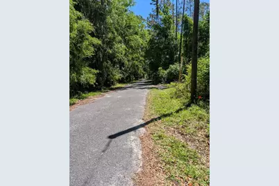 0 NW 202nd Place, Mc Intosh, FL 32664 - Photo 5