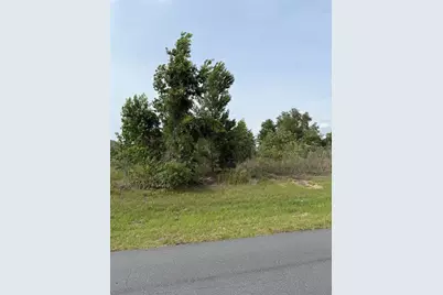 Tbd SW 129th Lane, Ocala, FL 34473 - Photo 1