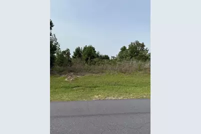 Tbd SW 129th Lane, Ocala, FL 34473 - Photo 3