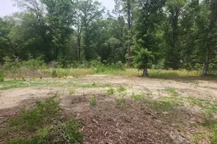 Lot 10 SW 134 Terrace, Ocala, FL 34481 - Photo 1