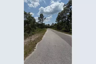 Tbd Fisher Loop #36, Ocklawaha, FL 32179 - Photo 3