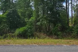 0 NW Aspen Ln, Dunnellon, FL 34431 - Photo 1