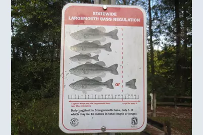 5949 SE 164th Court, Ocklawaha, FL 32179 - Photo 83