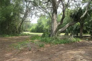 5949 SE 164th Ct, Ocklawaha, FL 32179 - Photo 29