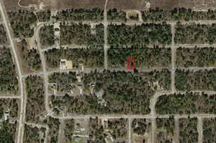 2333 W Chamberlain St, Dunnellon, FL 34434 - Photo 1