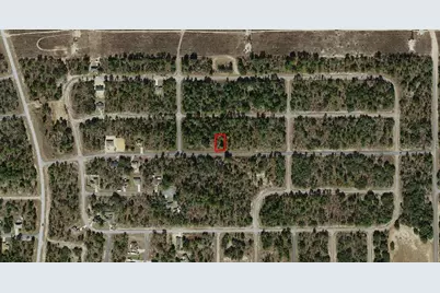 2333 W Chamberlain Street, Dunnellon, FL 34434 - Photo 3