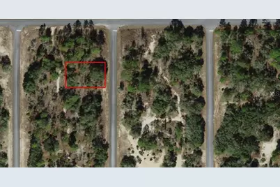 6704 N Founder Terrace, Dunnellon, FL 34433 - Photo 1