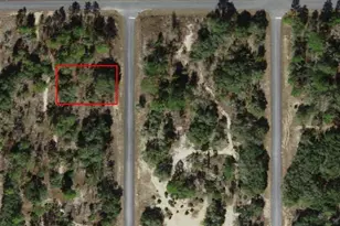 6704 N Founder Terrace, Dunnellon, FL 34433 - Photo 1