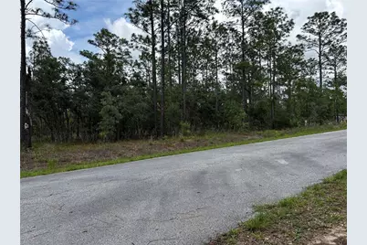 Tbd NW Foxglove Lane, Dunnellon, FL 34431 - Photo 7