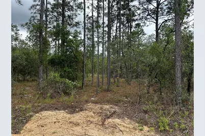 Tbd NW Foxglove Lane, Dunnellon, FL 34431 - Photo 3