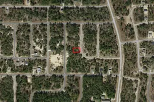 6682 N Sand Dr, Dunnellon, FL 34433 - Photo 1