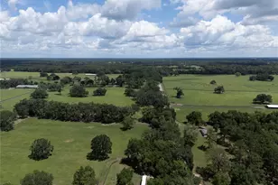 4091 NE 185 Ave, Williston, FL 32696 - Photo 91