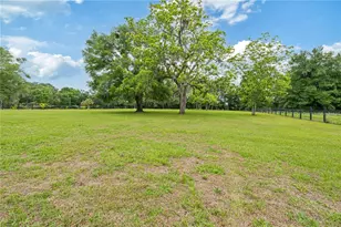 4091 NE 185 Ave, Williston, FL 32696 - Photo 85