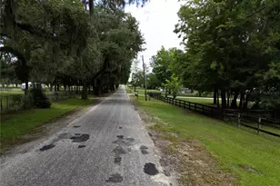 4091 NE 185 Ave, Williston, FL 32696 - Photo 93