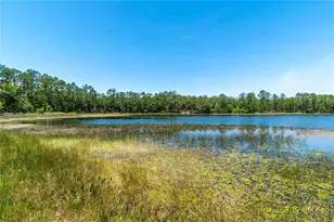 943 S County Road 21, Hawthorne, FL 32640 - Photo 75