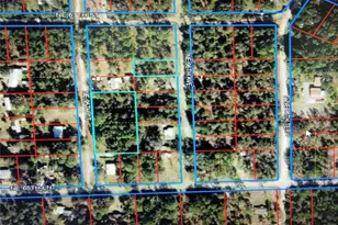 0 NE 95th Ct, Bronson, FL 32621 - Photo 1