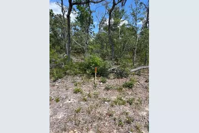 Tbd SW 57th Avenue #46 & 47, Interlachen, FL 32148 - Photo 1