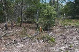 Tbd SW 57th Ave, Interlachen, FL 32148 - Photo 1