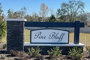 4858 Sutherland St, Spring Hill, FL 34609 - Photo 3