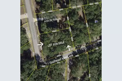 Tbd SE 165th Court, Ocklawaha, FL 32179 - Photo 1