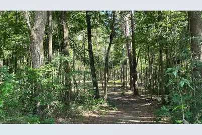 Se 130th Street, Belleview, FL 34420 - Photo 3