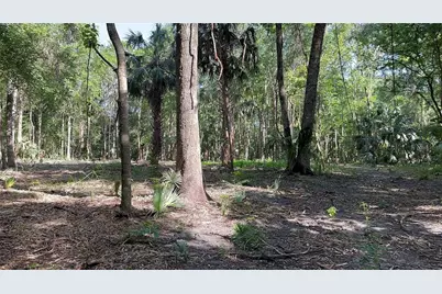 Se 130th Street, Belleview, FL 34420 - Photo 5