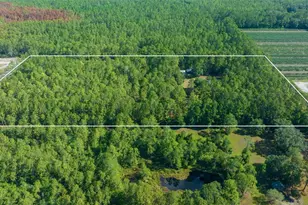 11521 SE 1st Street Rd, Silver Springs, FL 34488 - Photo 59