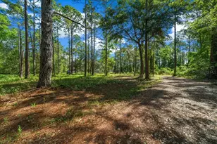 11521 SE 1st Street Rd, Silver Springs, FL 34488 - Photo 45