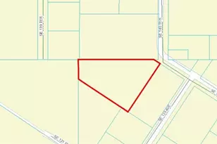 12032 SE 139th Ave, Ocklawaha, FL 32179 - Photo 1