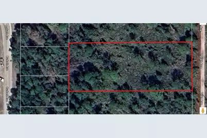 6509 Dian Avenue, Sebring, FL 33875 - Photo 3