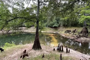 4059 McKethan Rd, Dade City, FL 33523 - Photo 9