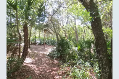 0 SE 10th Street, Silver Springs, FL 34488 - Photo 43
