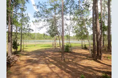 0 SE 10th Street, Silver Springs, FL 34488 - Photo 1