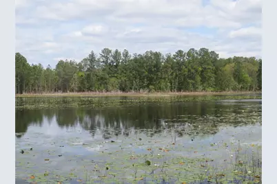 0 SE 10th Street, Silver Springs, FL 34488 - Photo 7