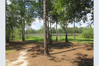 0 SE 10th Street, Silver Springs, FL 34488 - Photo 25