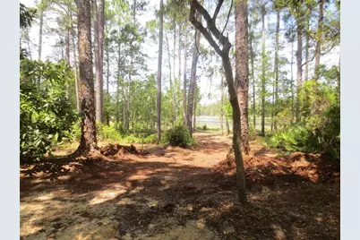 0 SE 10th Street, Silver Springs, FL 34488 - Photo 31