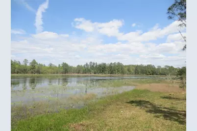 0 SE 10th Street, Silver Springs, FL 34488 - Photo 3