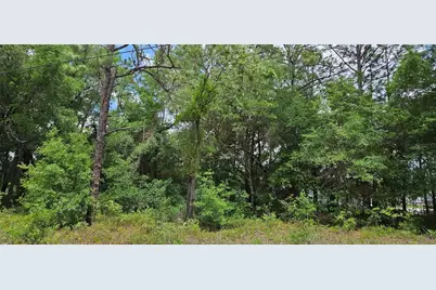 Tbd NW 52nd Avenue, Ocala, FL 34482 - Photo 3