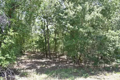 21312 NE 69th Place, Melrose, FL 32666 - Photo 23