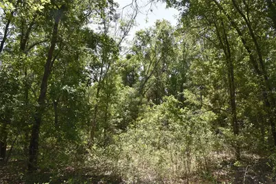 21312 NE 69th Place, Melrose, FL 32666 - Photo 25
