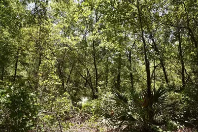 21312 NE 69th Place, Melrose, FL 32666 - Photo 21