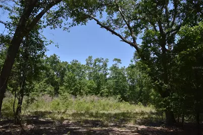 21312 NE 69th Place, Melrose, FL 32666 - Photo 3