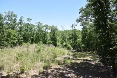 21312 NE 69th Place, Melrose, FL 32666 - Photo 5