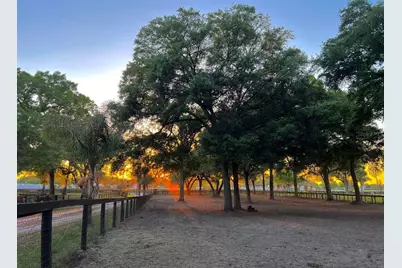 13646 N US Highway 27, Ocala, FL 34482 - Photo 21