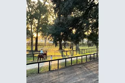 13646 N US Highway 27, Ocala, FL 34482 - Photo 75